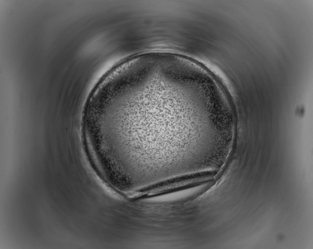 X0000101711333200807241447