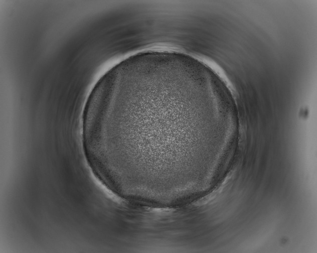 X0000101711335200807241447