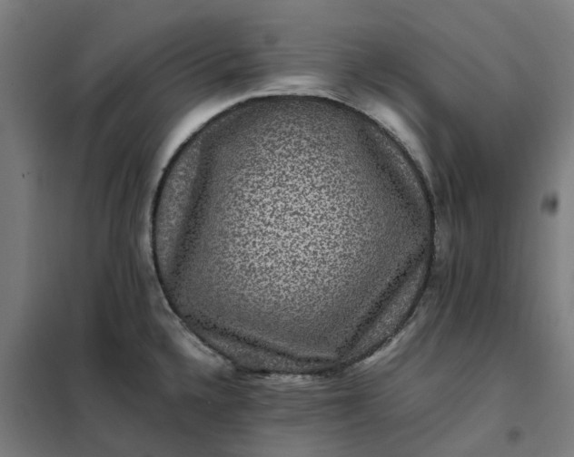 X0000101711336200807241447