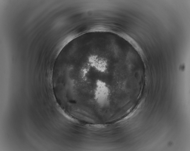 X0000101711337200807241447