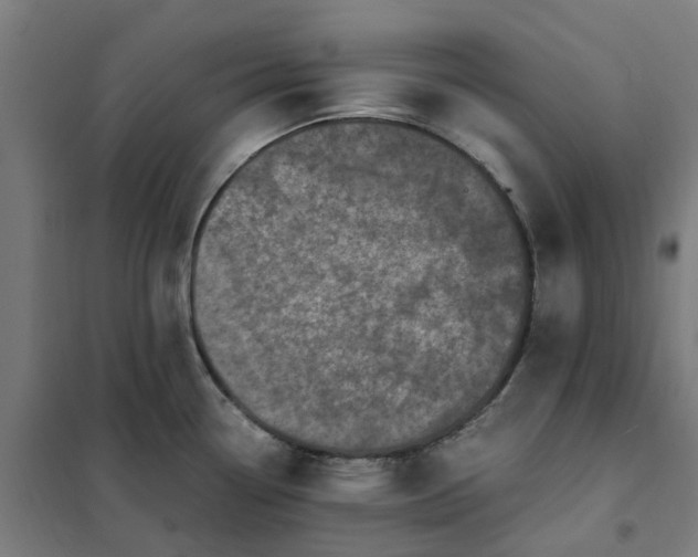 X0000101711338200807241447