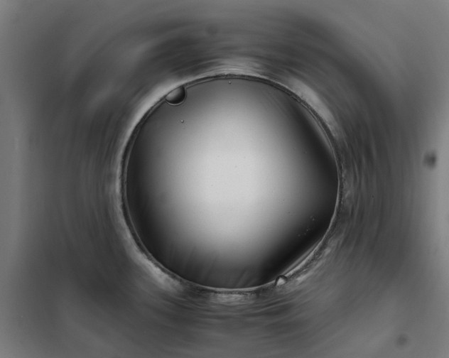 X0000101711339200807241447