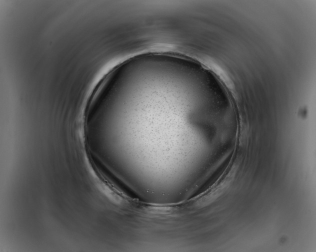 X0000101711342200807241447