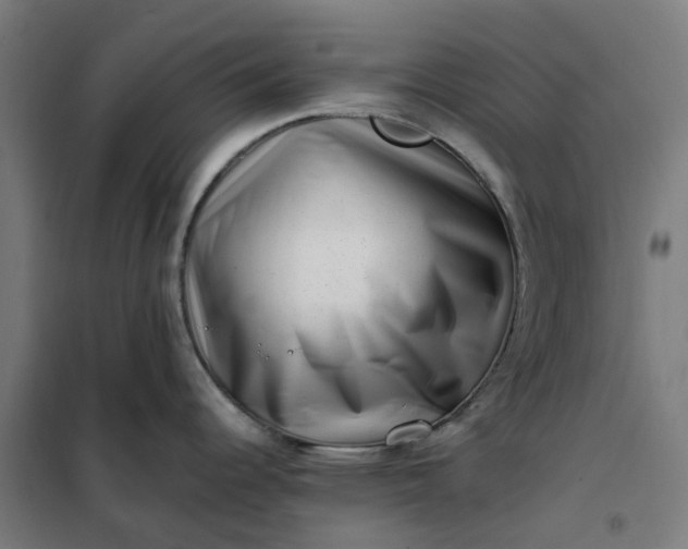 X0000101711344200807241447