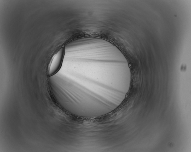 X0000101711345200807241446