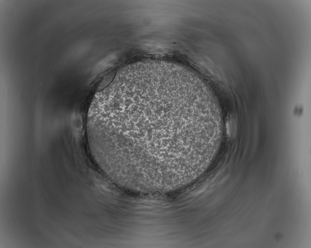 X0000101711347200807241446