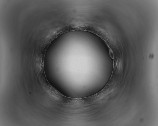 X0000101711348200807241446