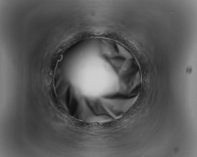 X0000101711349200807241446