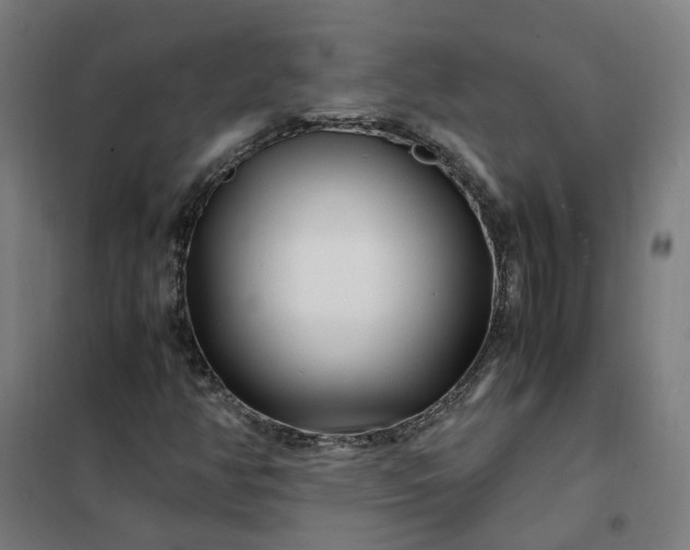 X0000101711350200807241446