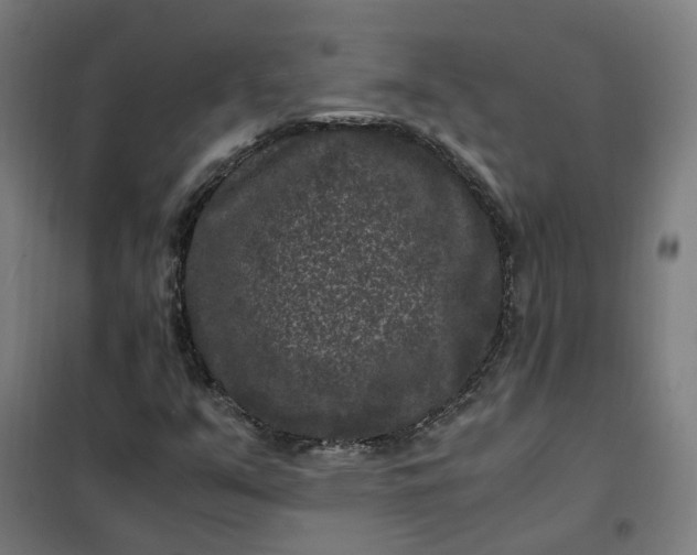 X0000101711351200807241446