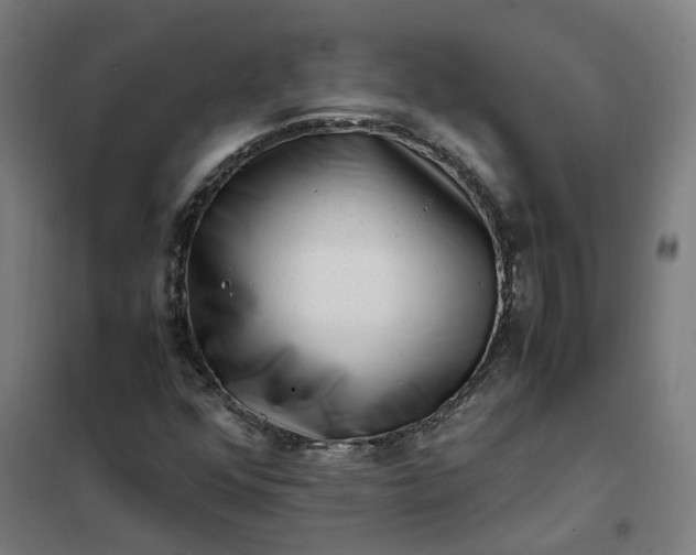 X0000101711352200807241446