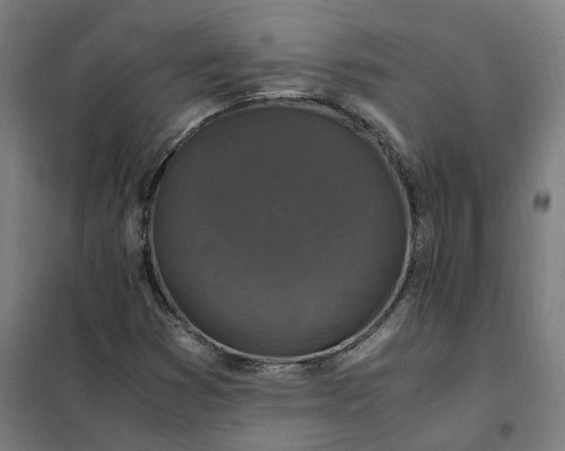 X0000101711353200807241446