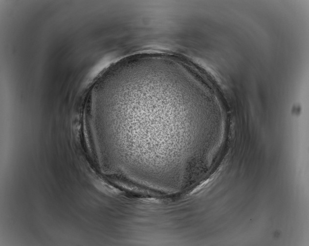 X0000101711355200807241446