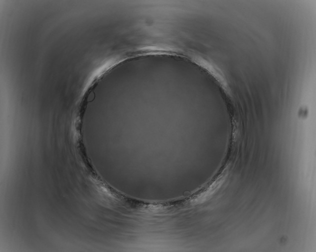 X0000101711357200807241446