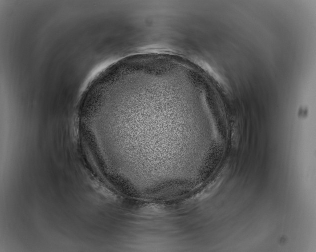 X0000101711358200807241446