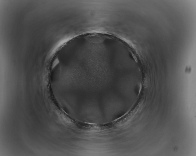 X0000101711359200807241446