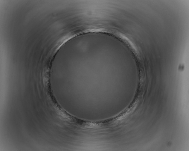 X0000101711361200807241446