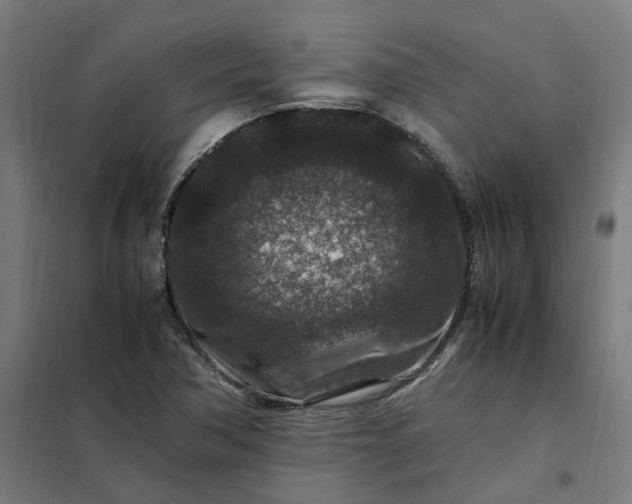 X0000101711362200807241446