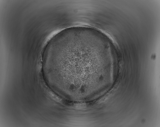 X0000101711363200807241446