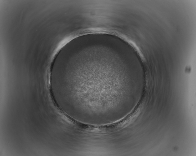 X0000101711365200807241446