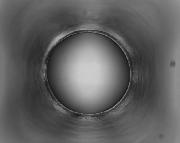 X0000101711366200807241446