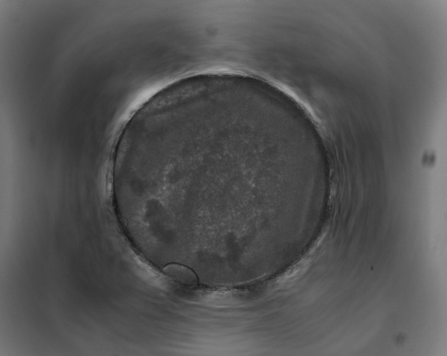 X0000101711367200807241446