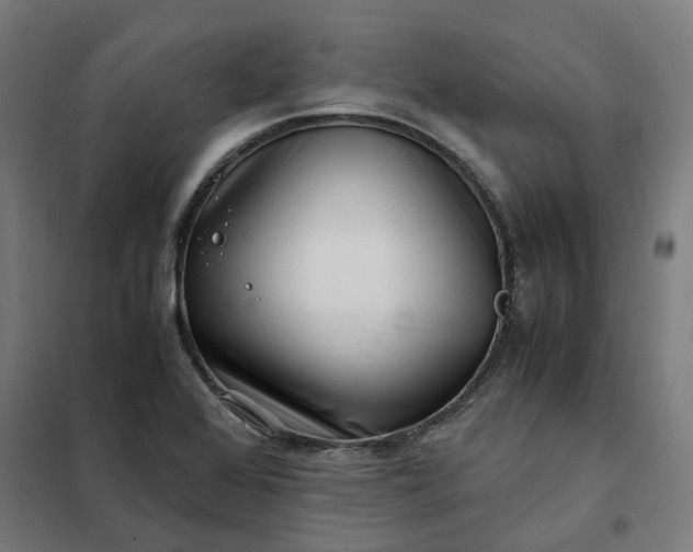 X0000101711368200807241446