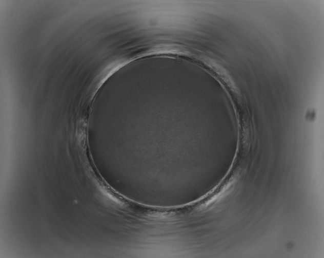 X0000101711369200807241446