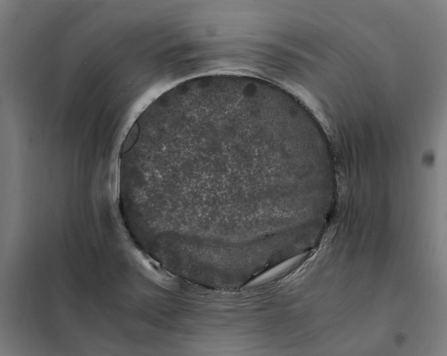 X0000101711371200807241446