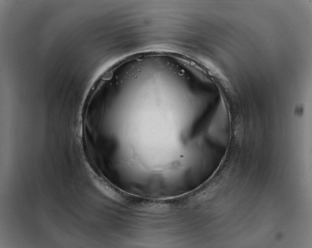 X0000101711372200807241446