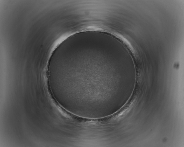 X0000101711373200807241446