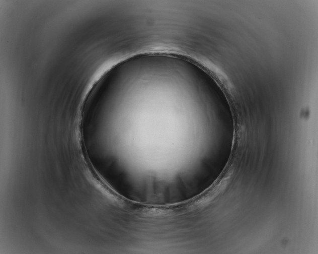 X0000101711374200807241446