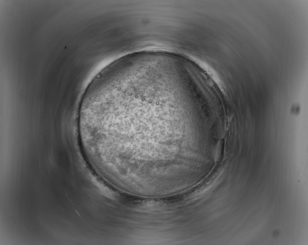 X0000101711375200807241446