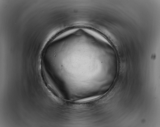 X0000101711376200807241446