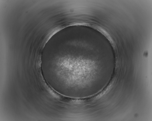 X0000101711377200807241446