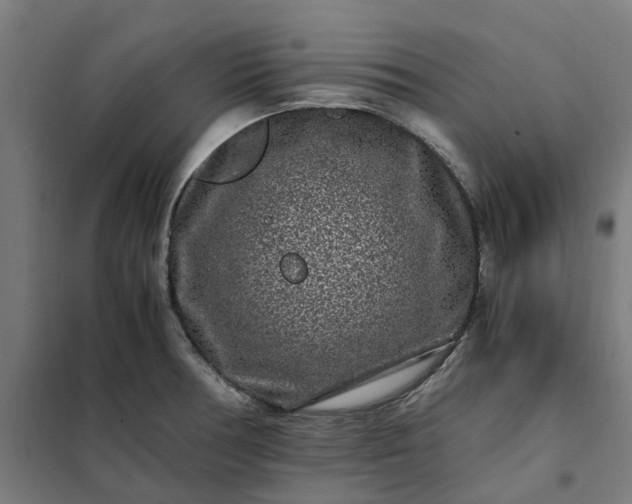 X0000101711378200807241446