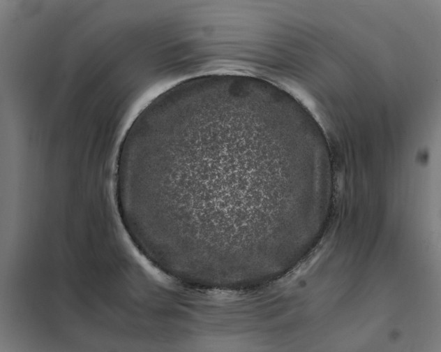 X0000101711379200807241446