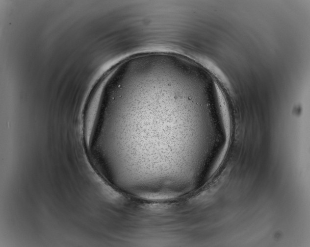 X0000101711380200807241446