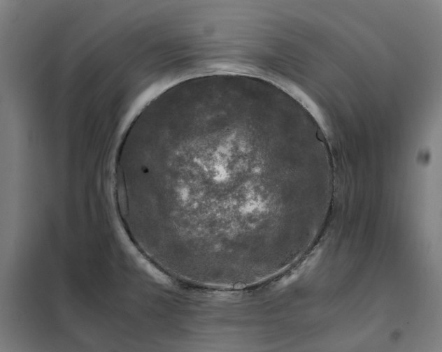 X0000101711381200807241446