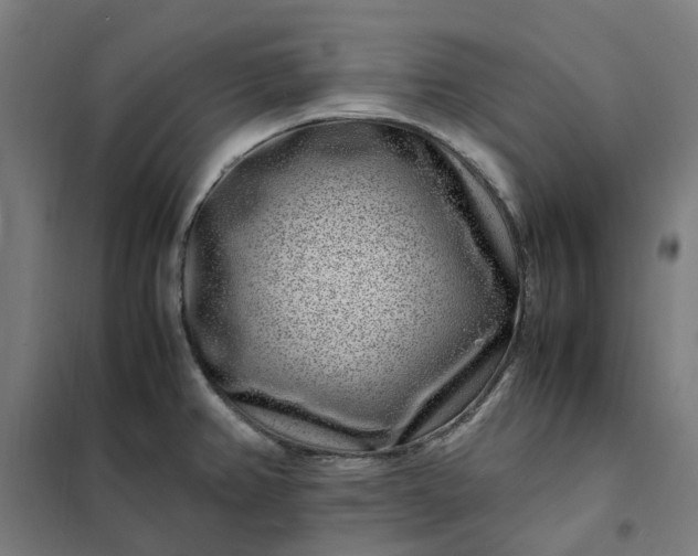 X0000101711382200807241446