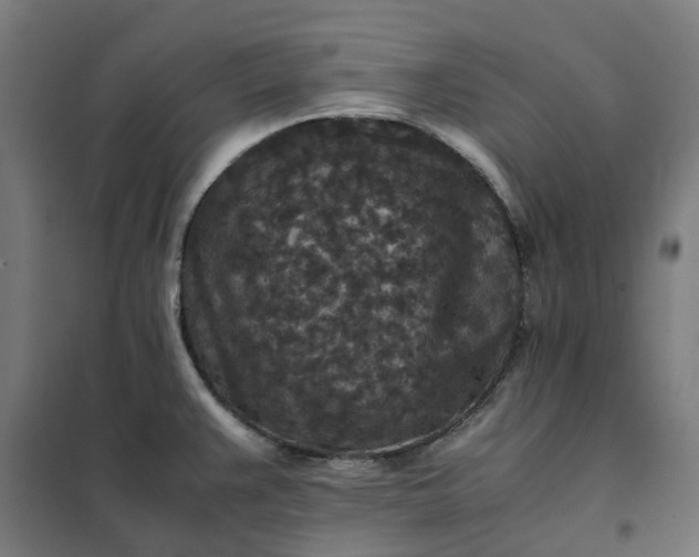 X0000101711383200807241446