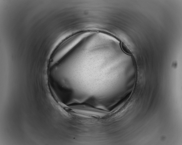 X0000101711384200807241446