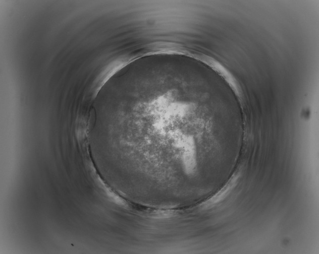 X0000101711385200807241446