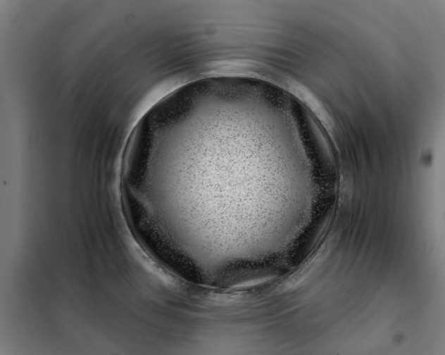 X0000101711386200807241446