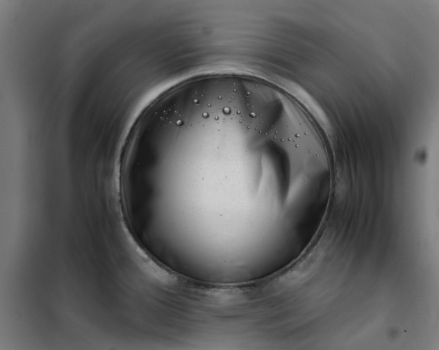 X0000101711388200807241446