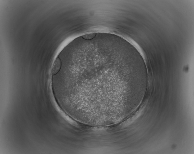 X0000101711389200807241446