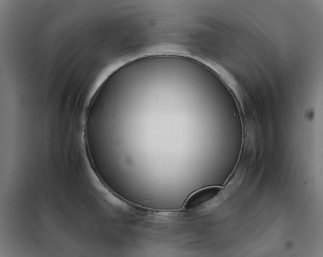 X0000101711390200807241446