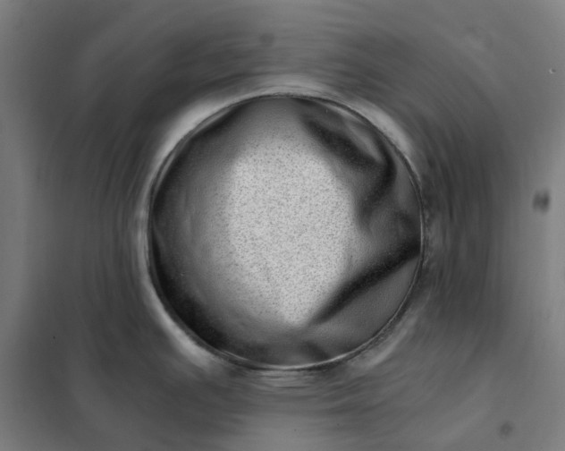 X0000101711391200807241446