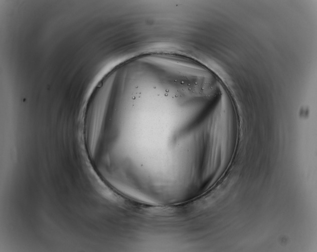 X0000101711392200807241446