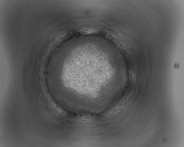 X0000101711393200807241445